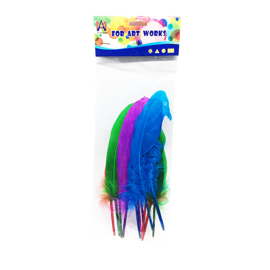 Mixed Colored Feathers  For Best Price in Abu Dhabi, UAE